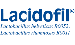 LACIDOFIL * 20 KAPS na Arena.pl