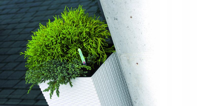 Donica Rattan DRTS325 z wkładem + platforma jezdna zdjęcie 11