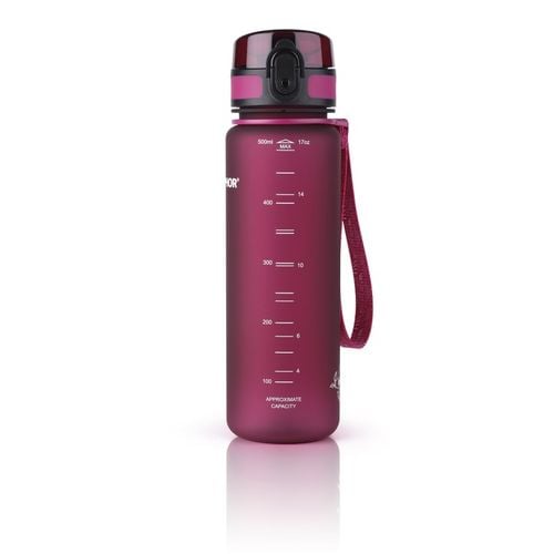 Butelka Filtr Bidon AQUAPHOR CITY 500ml Bordowy Zestaw 3 wkłady na Arena.pl