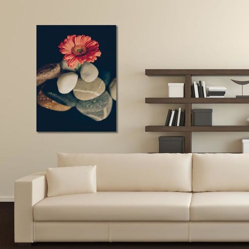 Deco Panel, Martwa natura 6 30x40 na Arena.pl