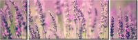 90CM 80 OBRAZ 3 ELEM LAWENDA ŚCIENNY
