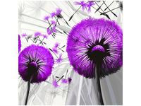 40CM 40CM OBRAZEK DMUCHAWCE FIOLECIE DRUK PŁÓTNO OBRAZ