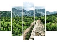 OBRAZ POLNA KAMIENISTA DROGA