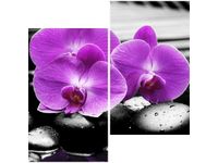 product-compare-58647290