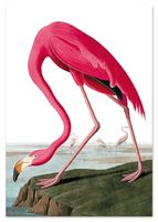 Plakat różowy flaming vintage 30x40 cm