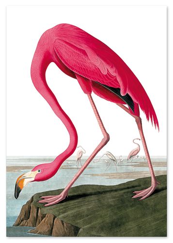 Plakat różowy flaming vintage 29,7x42 cm A3 na Arena.pl