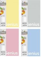 Kołozeszyt A4/80K Kratka Genius 104021019 A'4