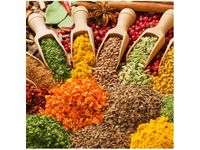 50X50CM FESTIWAL PRZYPRAW OBRAZ