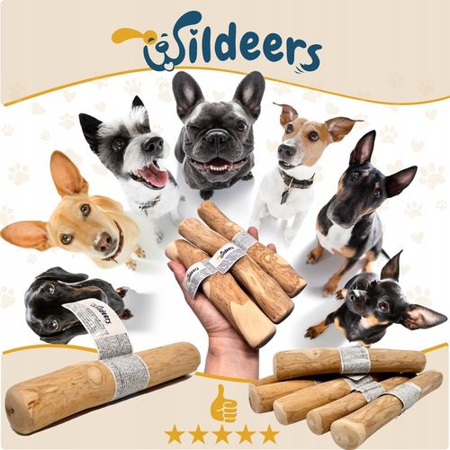 PATYK Z DRZEWA KAWOWEGO M NATURALNY KAWOWY GRYZAK DLA PSA WYTRZYMAŁY ŚREDNI na Arena.pl