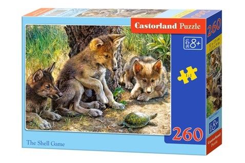 Castor 260 ELEMENTÓW Muszelkowa gra na Arena.pl