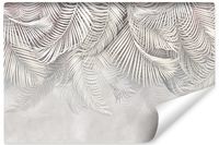 Fototapeta Do Salonu LIŚCIE Palmowe Natura Abstrakcja 315cm x 210cm