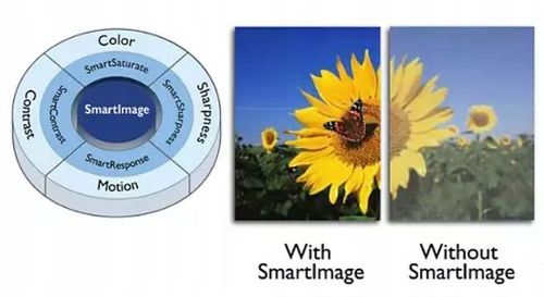 Monitor 24'' Philips 243V7QDSB/00 IPS LED Full HD na Arena.pl