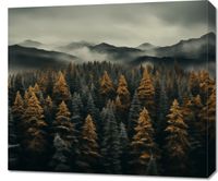 Obraz 70x60cm Mglisty Poranek