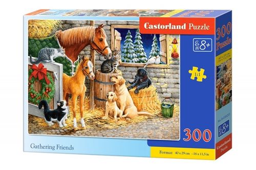 Puzzle 300 Elementów, Przyjaciele na Arena.pl