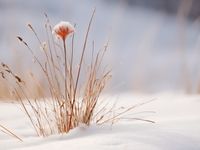 product-compare-59371059