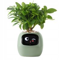 Doniczka inteligentna PLANTSIO IVY Wi-fi Zielony