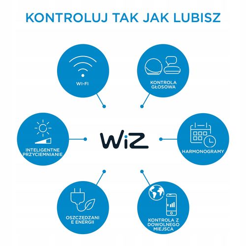 WiZ Wbudowany reflektor punktowy na Arena.pl