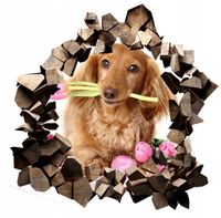 Naklejka samoprzylepna efekt 3D zwierzęta psy koty