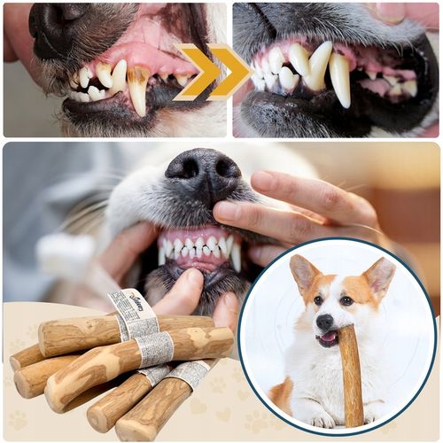 PATYK Z DRZEWA KAWOWEGO S NATURALNY KAWOWY GRYZAK DLA PSA WYTRZYMAŁY MAŁY na Arena.pl