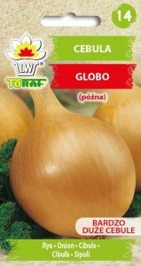 Cebula Globo bardzo duże cebule nasiona 2g zdjęcie 5