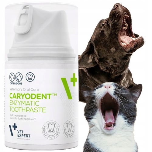 VET EXPERT Caryodent Enzymatyc enzymatyczna pasta do zębów dla psa i kota na Arena.pl