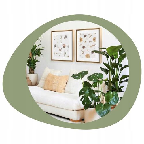 COMPO 2w1 NA CHOROBY I SZKODNIKI - MSZYCE PRZĘDZIORKI WCIORNASTKI na Arena.pl