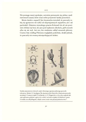 O pszczołach i ludziach na Arena.pl