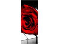 product-compare-58644820