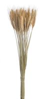 susz naturalny - zboże paczkowane 60cm 55g wol-11nat