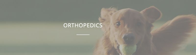 Artikrill Dol Cane 60 kaps NBF Lanes zdjęcie 4