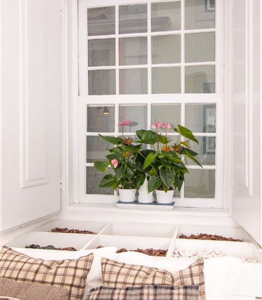 Ogródek domowy Minigarden Basic S +Pots - biały zdjęcie 7