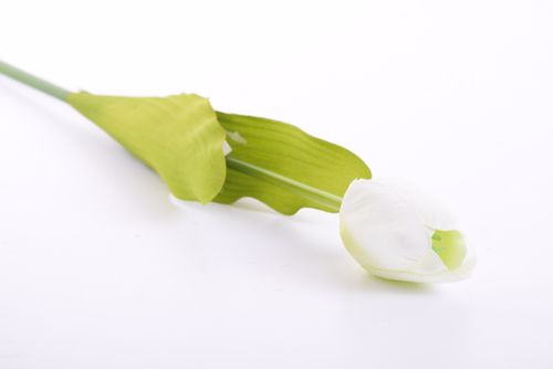 Tulipan 55cm biały na Arena.pl