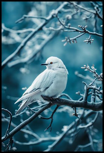 Plakat 67,5x100cm Perłowy Ptak na Arena.pl