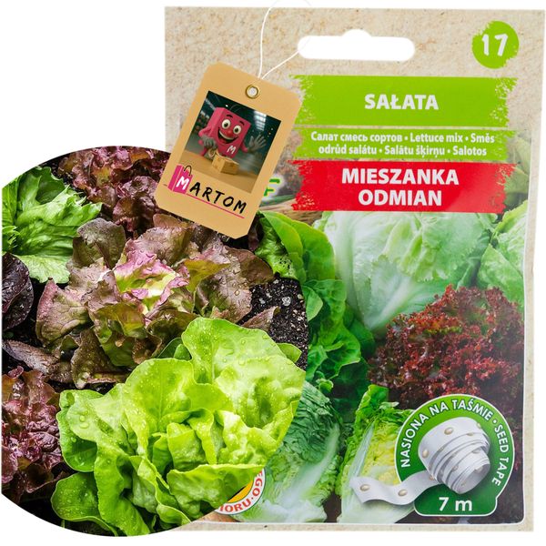 Sałata Mix Odmian Taśma 7M zdjęcie 4