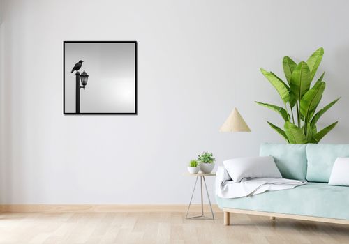 Plakat 70x70cm Samotny Postój Kruka na Arena.pl