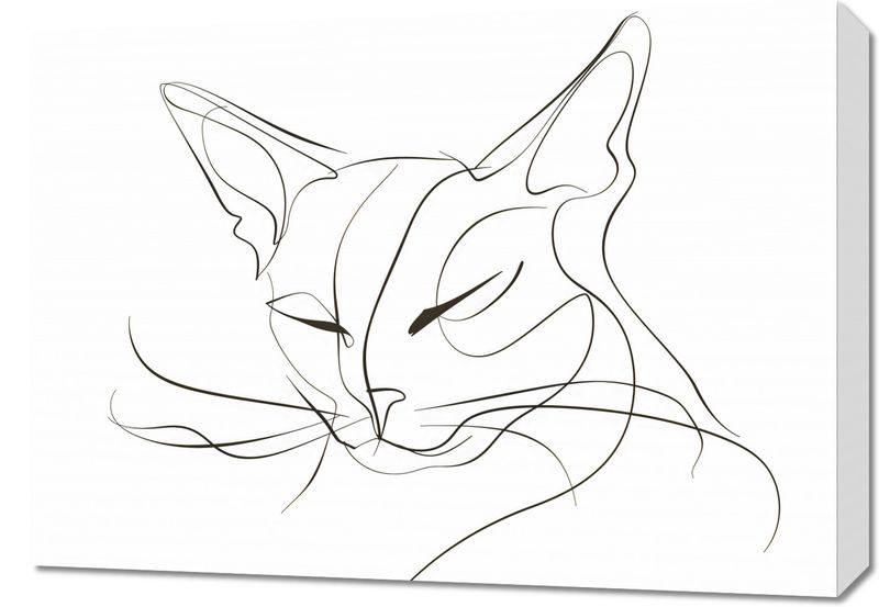 Obraz 70x50cm Linijny Kot zdjęcie 1