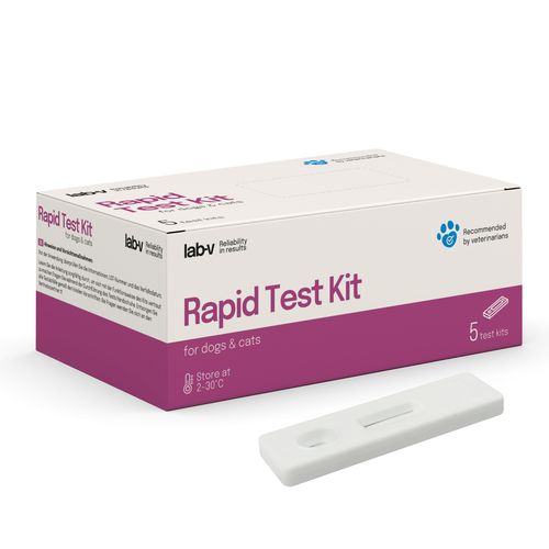 lab-v progesteron szybki test dla psów na Arena.pl