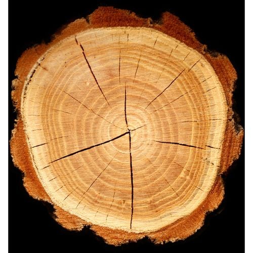 Yodeyma Magnétisme Woda Perfumowana Dla Mężczyzn 100ml na Arena.pl