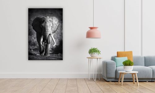 OBRAZ NA PŁÓTNIE 120 Słoń 30x40cm na Arena.pl