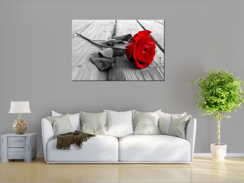 Obraz drukowany na płótnie canvas 120x80 + GRATIS na Arena.pl