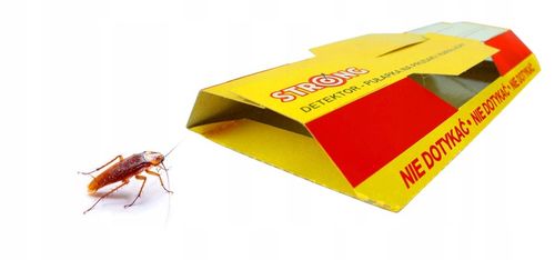 5X PUŁAPKA LEPOWA LEP NA PRUSAKI KARALUCHY KARACZANY PANKO Z WABIKIEM na Arena.pl