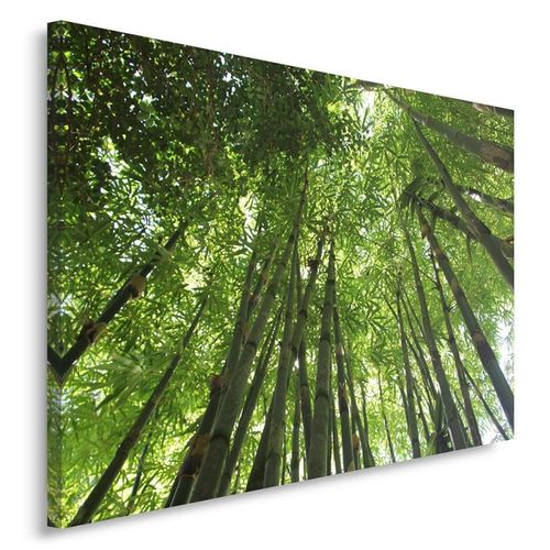 Obraz na płótnie - Canvas, Bambusowy gaj 70x50 na Arena.pl