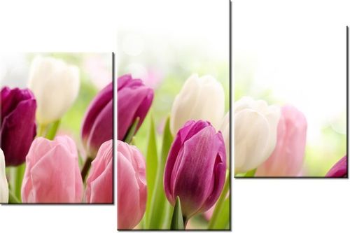 60 90CM OBRAZ 3 ELEM SOCZYSTE TULIPANY ŚCIENNY DRUK PŁÓTNO na Arena.pl