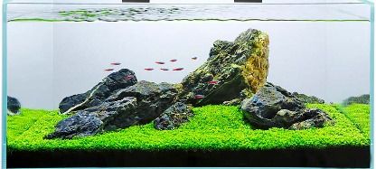 Świetlówka LED oświetlenie AKWARIUM 8520 50cm na Arena.pl