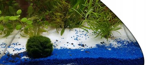 Biały, śnieżnobiały piasek do akwarium PREMIUM na Arena.pl