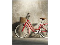 40X50CM CZERWONY ROWER OBRAZ