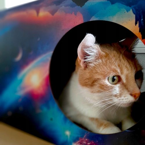 Drapak dla kota Kosmos | 53x28x30 cm | MruuPruu na Arena.pl