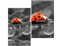 60X60CM SPACEREK DWU OBRAZ ŚCIAN