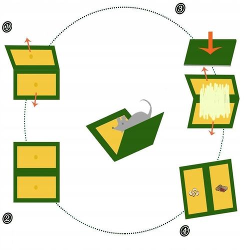 ŁAPKA NA MYSZY PUŁAPKA LEP NA MYSZY MYSZOŁAPKA ŁAPKA NA SZCZURY na Arena.pl