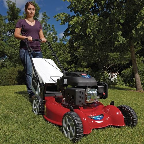 TORO 29639 na Arena.pl
